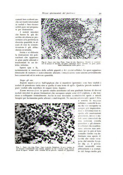 Archivio italiano di anatomia e istologia patologica