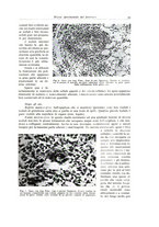 giornale/PUV0110165/1937/unico/00000067