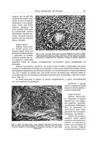 Archivio italiano di anatomia e istologia patologica