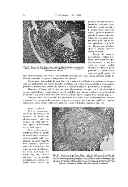 Archivio italiano di anatomia e istologia patologica