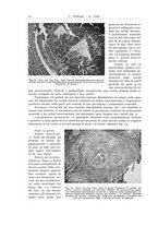 giornale/PUV0110165/1937/unico/00000070