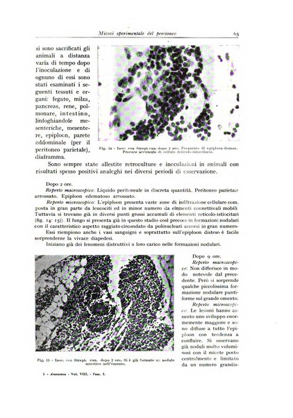 Archivio italiano di anatomia e istologia patologica