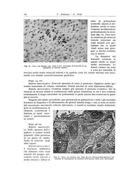 Archivio italiano di anatomia e istologia patologica