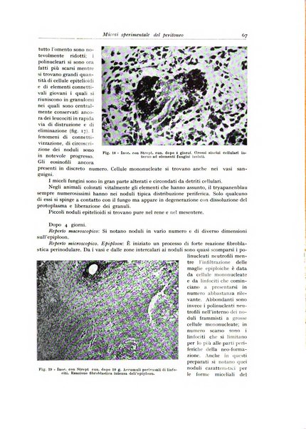 Archivio italiano di anatomia e istologia patologica