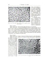 giornale/PUV0110165/1937/unico/00000076