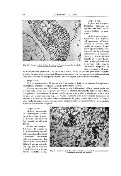 Archivio italiano di anatomia e istologia patologica