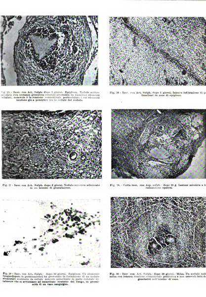 Archivio italiano di anatomia e istologia patologica