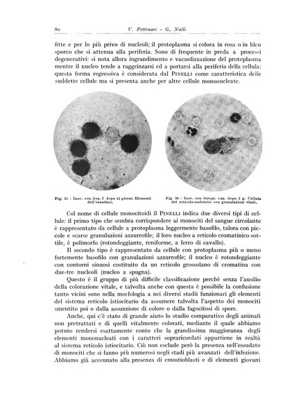 Archivio italiano di anatomia e istologia patologica