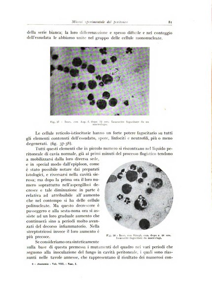 Archivio italiano di anatomia e istologia patologica