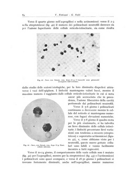 Archivio italiano di anatomia e istologia patologica