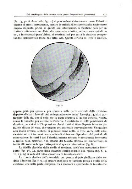 Archivio italiano di anatomia e istologia patologica