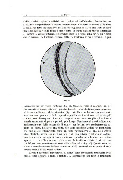 Archivio italiano di anatomia e istologia patologica