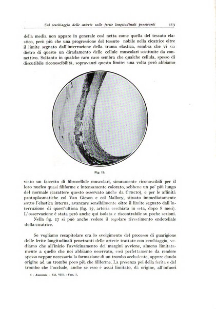 Archivio italiano di anatomia e istologia patologica