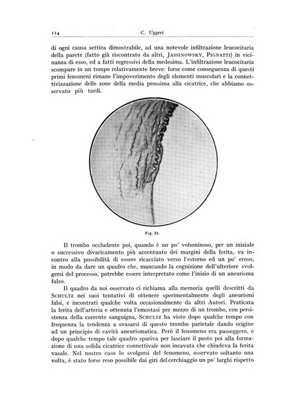 Archivio italiano di anatomia e istologia patologica