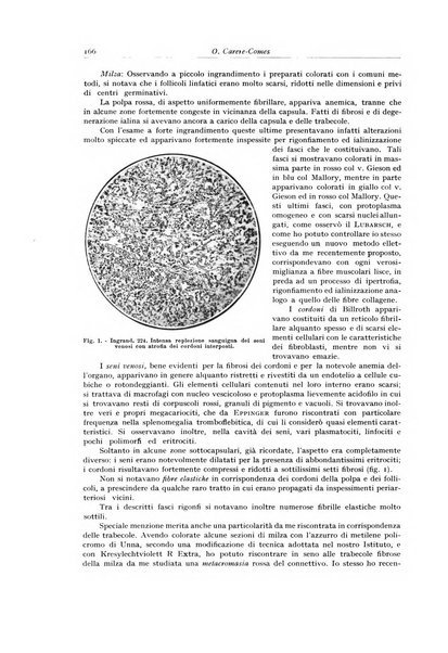 Archivio italiano di anatomia e istologia patologica