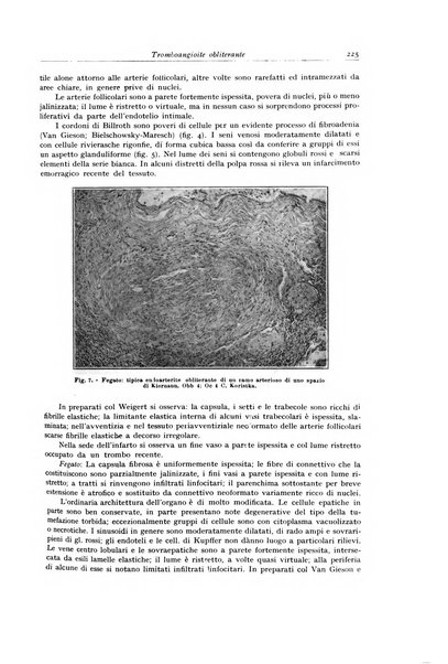 Archivio italiano di anatomia e istologia patologica