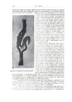 giornale/PUV0110165/1937/unico/00000260