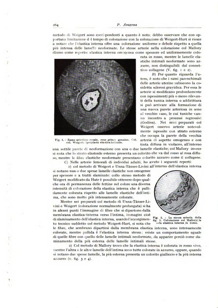 Archivio italiano di anatomia e istologia patologica