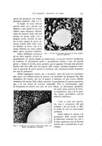 giornale/PUV0110165/1937/unico/00000361