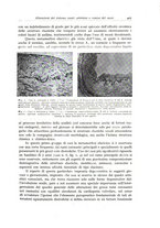 giornale/PUV0110165/1937/unico/00000435