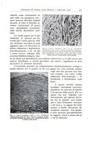 giornale/PUV0110165/1937/unico/00000439