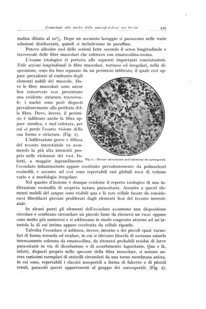 Archivio italiano di anatomia e istologia patologica