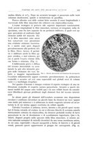 giornale/PUV0110165/1937/unico/00000467