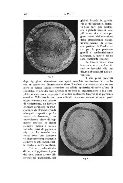 Archivio italiano di anatomia e istologia patologica