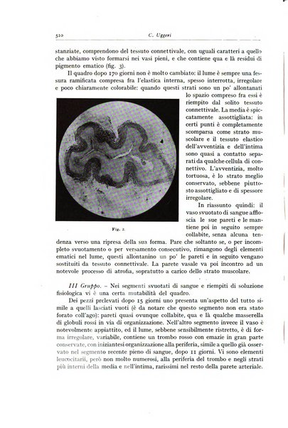 Archivio italiano di anatomia e istologia patologica