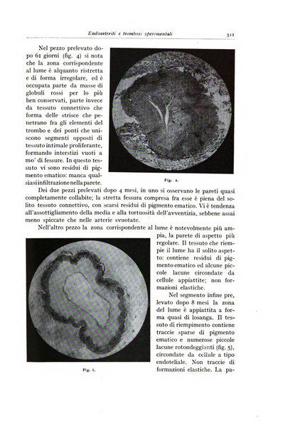 Archivio italiano di anatomia e istologia patologica