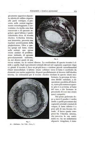 Archivio italiano di anatomia e istologia patologica