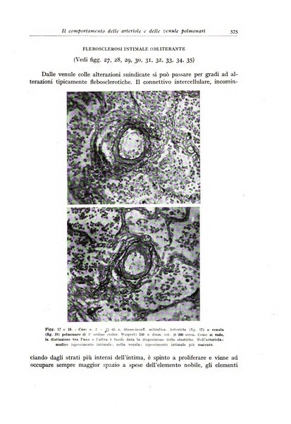 Archivio italiano di anatomia e istologia patologica