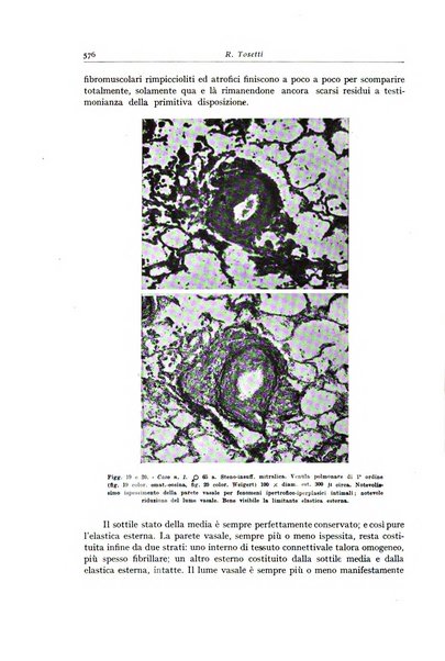 Archivio italiano di anatomia e istologia patologica