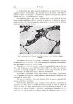 giornale/PUV0110165/1937/unico/00000624