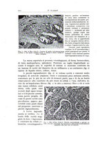 giornale/PUV0110165/1937/unico/00000664