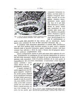 giornale/PUV0110165/1937/unico/00000688