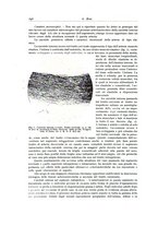 giornale/PUV0110165/1937/unico/00000702