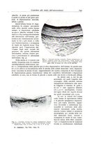 giornale/PUV0110165/1937/unico/00000703