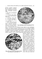 giornale/PUV0110165/1937/unico/00000715