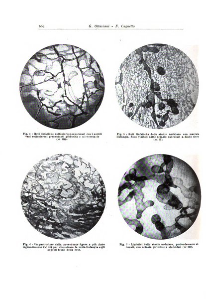 Archivio italiano di anatomia e istologia patologica