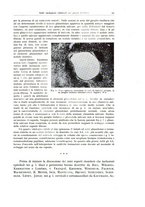 giornale/PUV0110165/1938/unico/00000099