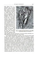 giornale/PUV0110165/1938/unico/00000159