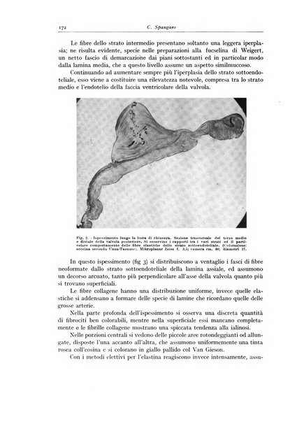 Archivio italiano di anatomia e istologia patologica