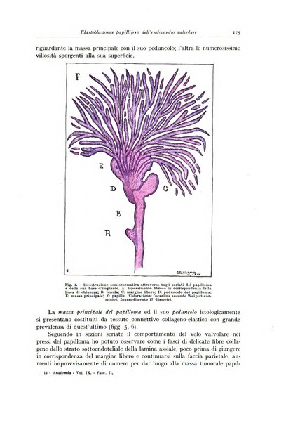 Archivio italiano di anatomia e istologia patologica