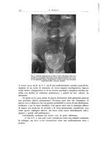 giornale/PUV0110165/1938/unico/00000380