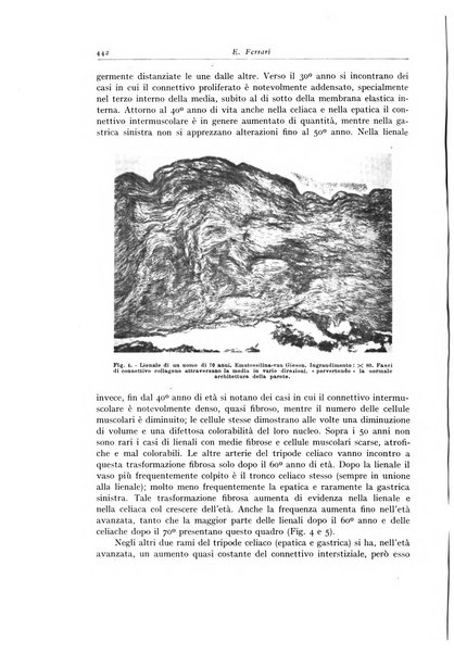 Archivio italiano di anatomia e istologia patologica