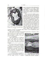 giornale/PUV0110165/1938/unico/00000554