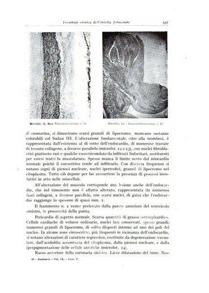 Archivio italiano di anatomia e istologia patologica