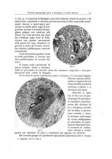 Archivio italiano di anatomia e istologia patologica