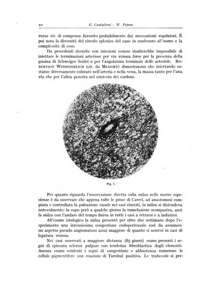 Archivio italiano di anatomia e istologia patologica